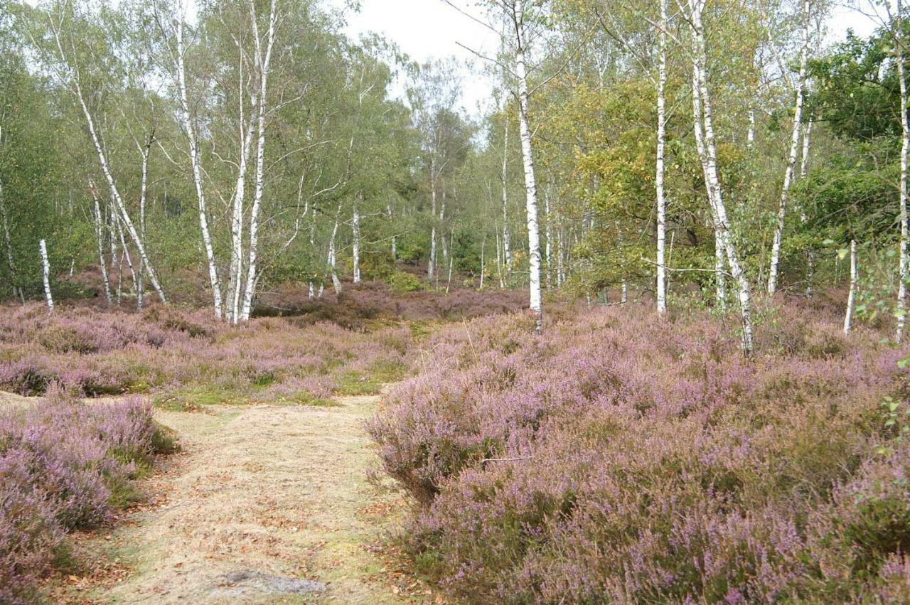 Le Lodge Des Bruyeres Mont-Notre-Dame Eksteriør billede