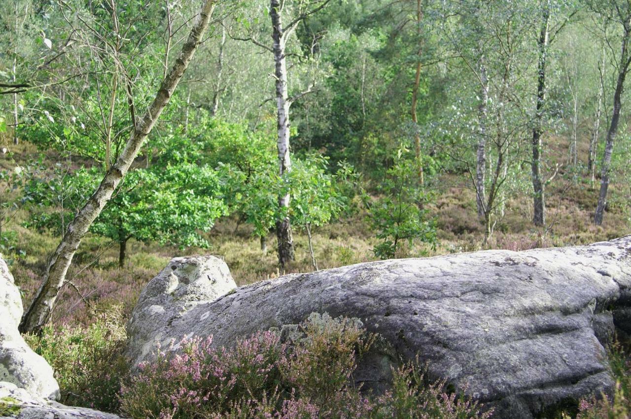 Le Lodge Des Bruyeres Mont-Notre-Dame Eksteriør billede