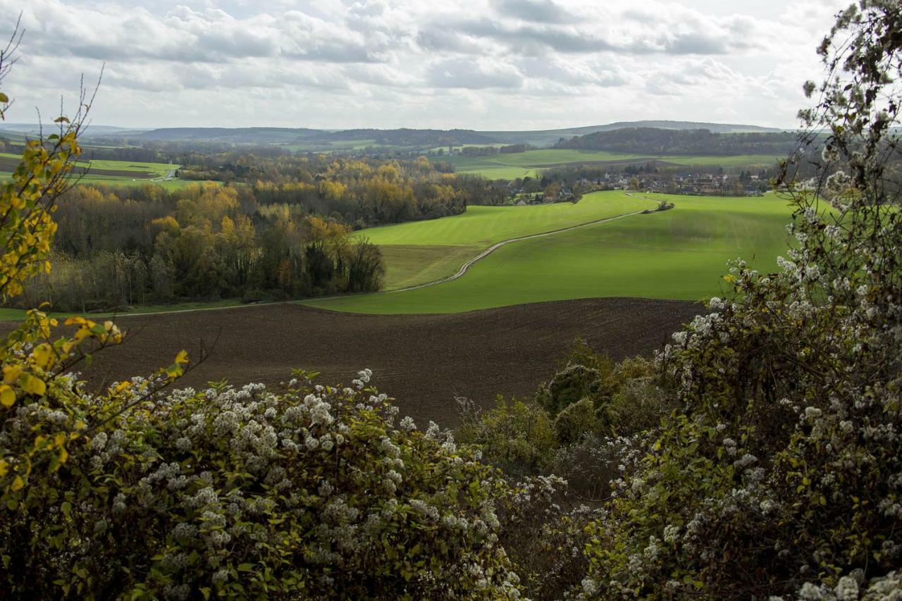 Le Lodge Des Bruyeres Mont-Notre-Dame Eksteriør billede